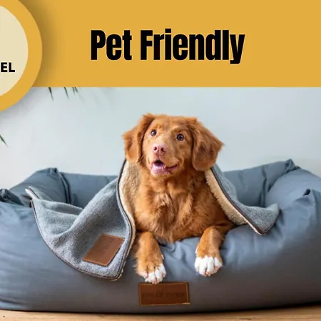 Staynfeel 03 Lejlighed Fátima