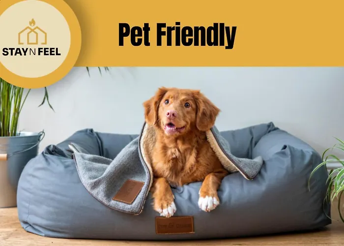 Staynfeel 03 Apartman Fátima